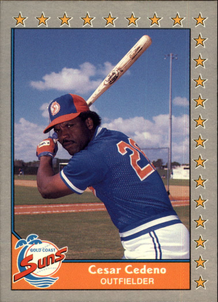 1989-90 Pacific Senior League #201 Bake McBride - NM-MT