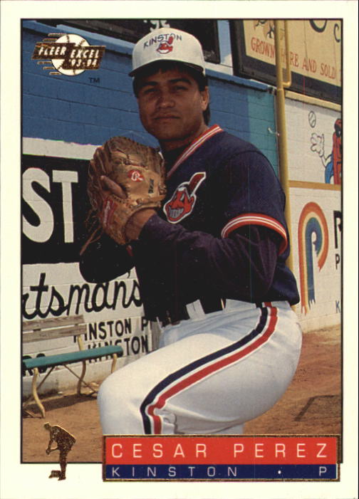 1993-94 Excel (Fleer) Minor League Baseball "Main Set" Cards #1 to #150 - Picture 96 of 298