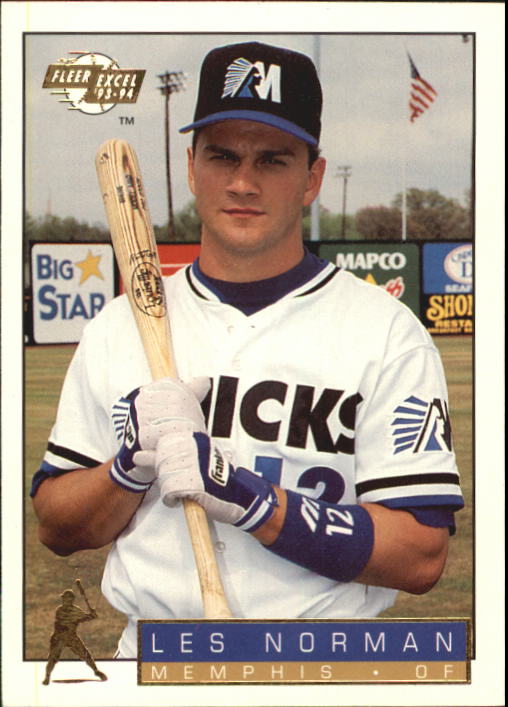 1993-94 Excel (Fleer) Minor League Baseball "Main Set" Cards #1 to #150 - Picture 138 of 298