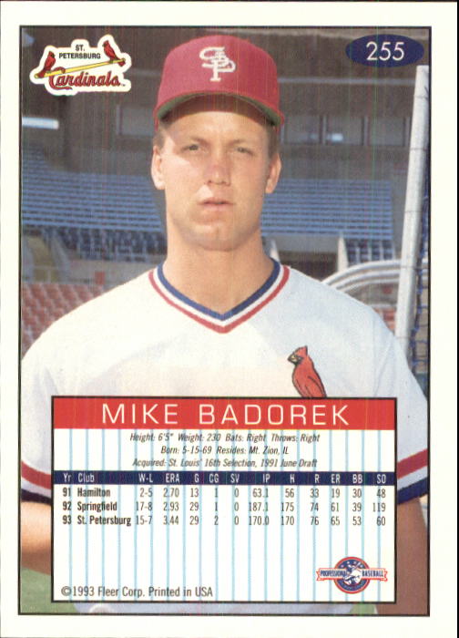1993-94 Excel (Fleer) Minor League Baseball "Main Set" Cards #151 to #300 - Picture 211 of 299