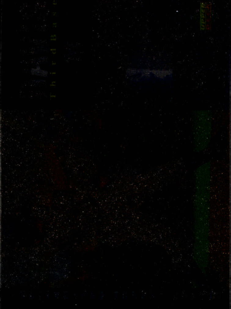 Bild 292 von 465