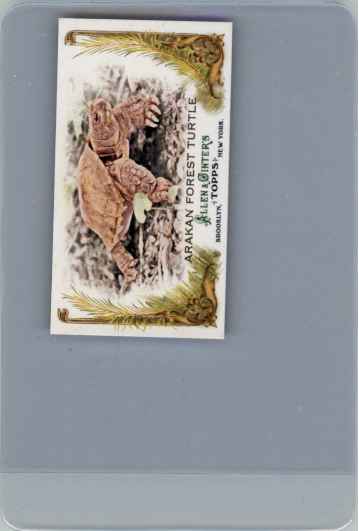 2011 Topps Allen and Ginter Baseball Part 1 Mini - Picture 297 of 366
