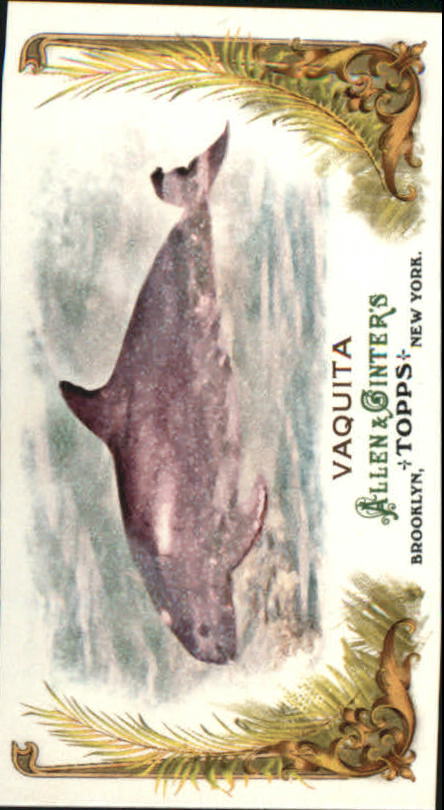 2011 Topps Allen and Ginter Baseball Part 1 Mini - Picture 301 of 366