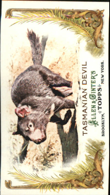 2011 Topps Allen and Ginter Baseball Part 1 Mini - Picture 307 of 366