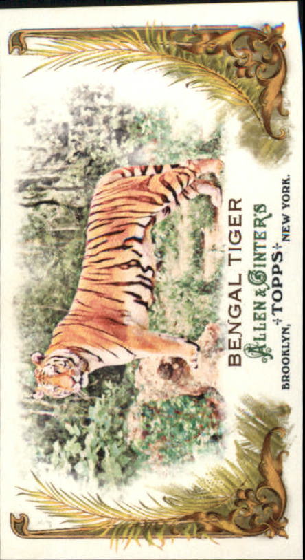 2011 Topps Allen and Ginter Baseball Part 1 Mini - Picture 309 of 366