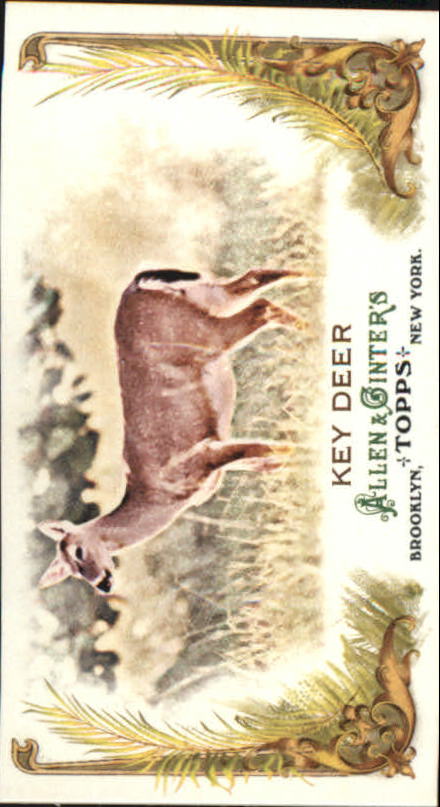2011 Topps Allen and Ginter Baseball Part 1 Mini - Picture 311 of 366