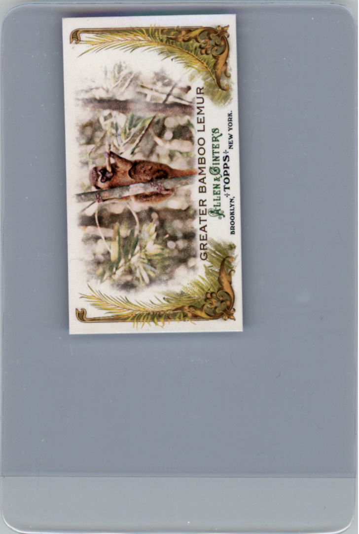 2011 Topps Allen and Ginter Baseball Part 1 Mini - Picture 313 of 366