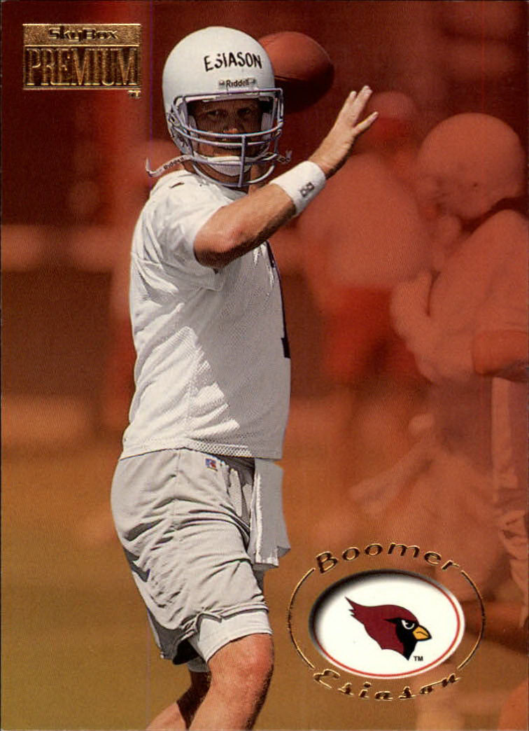 Tim Green - Atlanta Falcons (NFL Football Card) 1992 Skybox Prime Time #  143 Mint