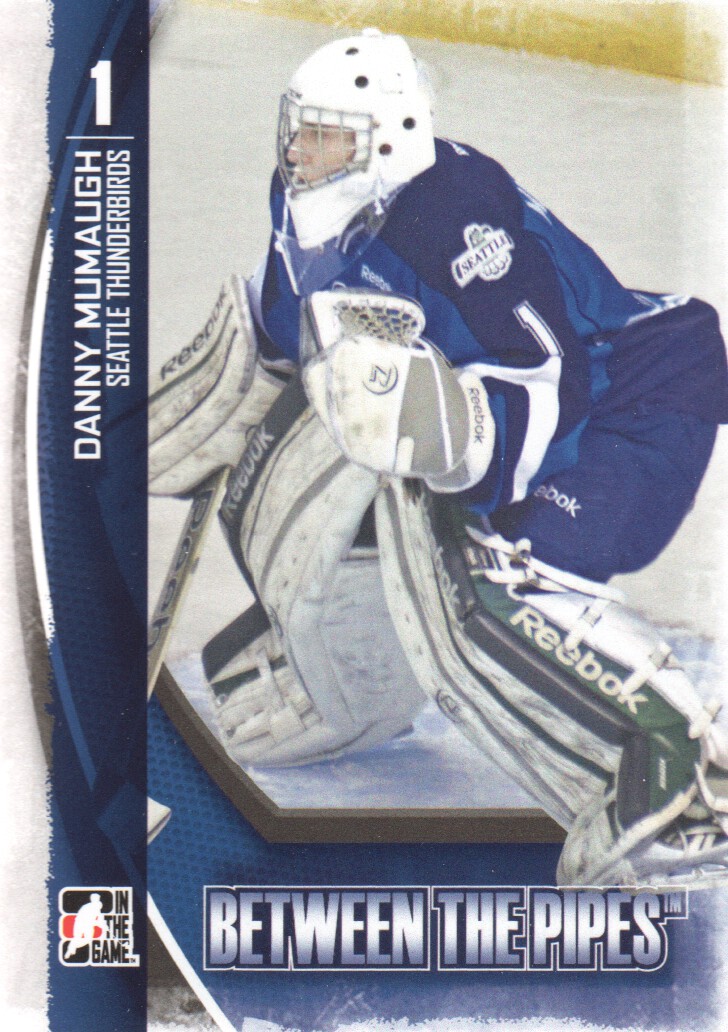 2013-14 Between the Pipes Hockey Card Pick