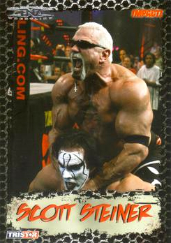 2008 TRISTAR TNA Impact Wrestling Card Pick - Bild 16 von 93