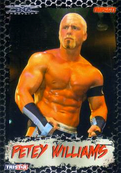 2008 TRISTAR TNA Impact Wrestling Card Pick - Bild 20 von 93