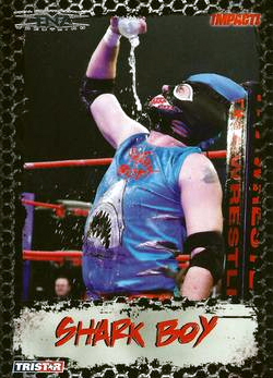 2008 TRISTAR TNA Impact Wrestling Card Pick - Bild 22 von 93