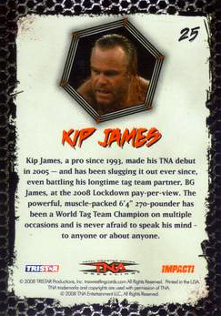2008 TRISTAR TNA Impact Wrestling Card Pick - Bild 31 von 93