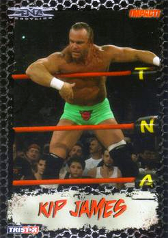 2008 TRISTAR TNA Impact Wrestling Card Pick - Bild 30 von 93