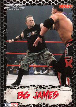 2008 TRISTAR TNA Impact Wrestling Card Pick - Bild 32 von 93