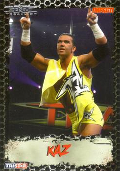 2008 TRISTAR TNA Impact Wrestling Card Pick - Bild 36 von 93