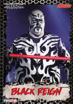 2008 TRISTAR TNA Impact Wrestling Card Pick - Bild 42 von 93