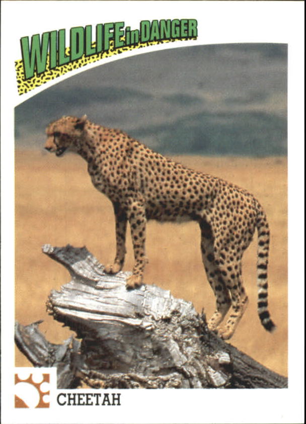 Wildlife in danger cards # 40,45,46,47,49,50  choose card/s 