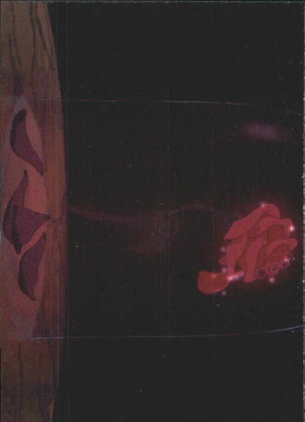 Bild 4 von 147