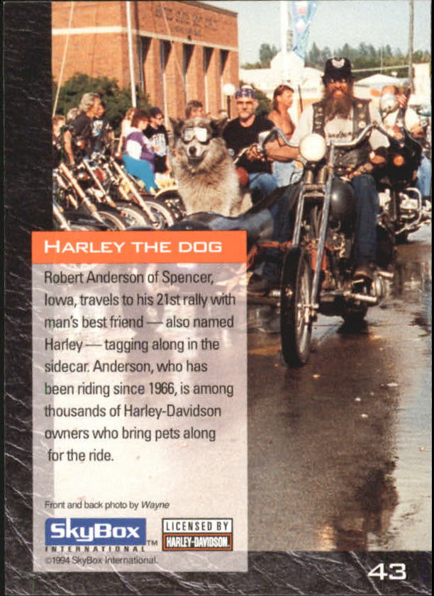 1994 Harley Davidson Collector Cards 1-80 (A5009) - You Pick - 10+ FREE SHIP - Picture 87 of 181