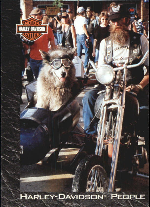 1994 Harley Davidson Collector Cards 1-80 (A5009) - You Pick - 10+ FREE SHIP - Picture 86 of 181