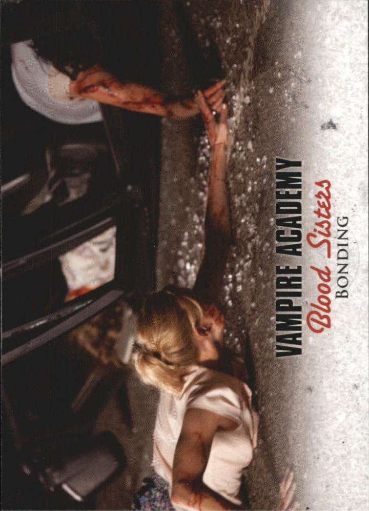 Foto 122 di 201