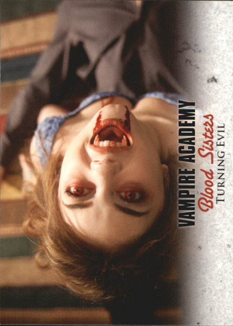 Foto 126 di 201