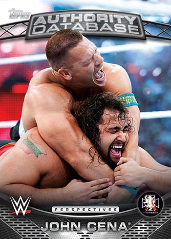 2016 Topps WWE Authority Anti-Authority Perspectives Inserts Pick Cards 