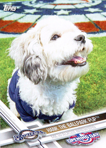 Hank the Ballpark Pup