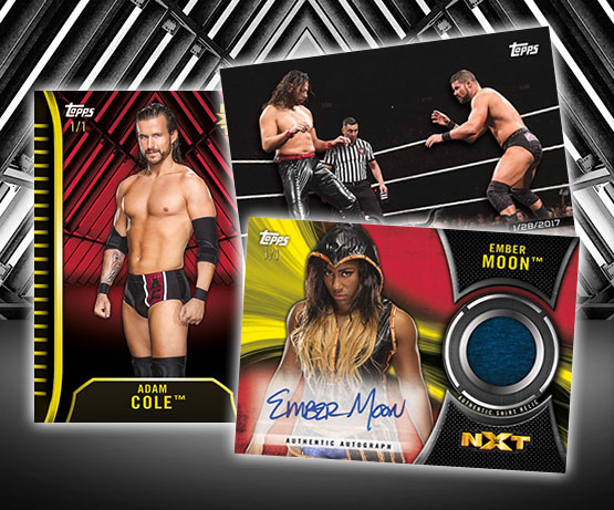 2018 Topps WWE NXT