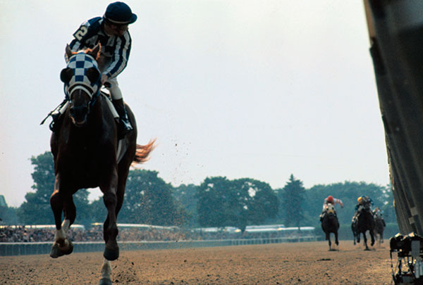 Belmont Stakes 2015 Seating Chart