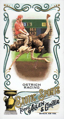 2018 Topps Allen and Ginter Baseball Mini Exotic Sports