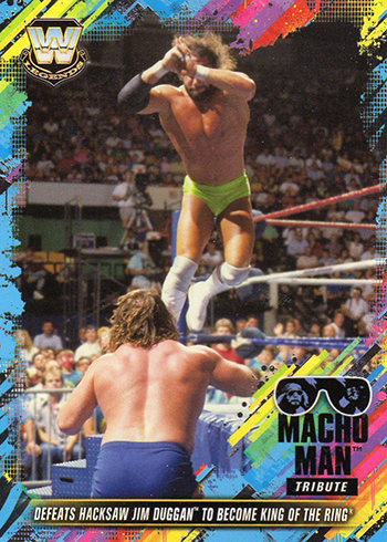 Panini WWF Wrestling *STICKERALBUM 1995* KOMPLETT Undertaker Macho Man wwe nxt 