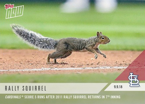 Pin on Rally Squirrels Run Baseball Heaven