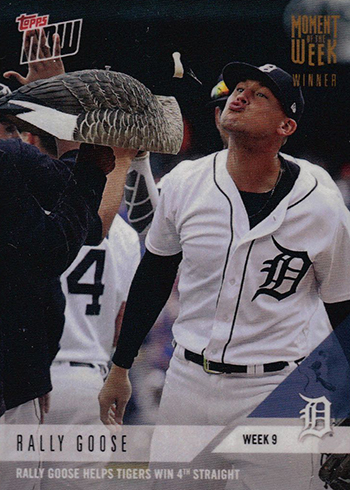 That wacky Detroit Tigers rally goose official swag you can actually get 