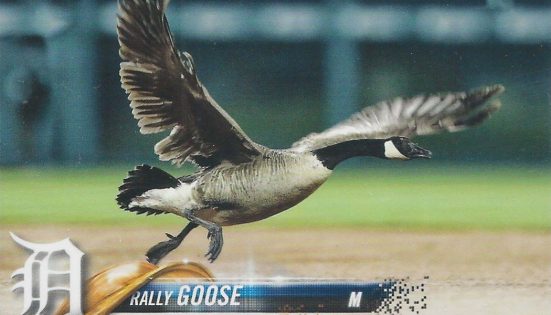 That wacky Detroit Tigers rally goose official swag you can actually get 