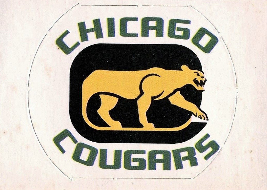 WHA 1972 - 1979 Team Logo's Color REPRINT 8 X 10 Photo Picture