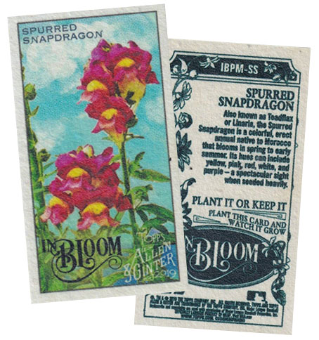 2019-Topps-Allen-&-Ginter-Baseball-In-Bloom-Plant-Me