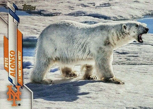 pete alonso polar bear