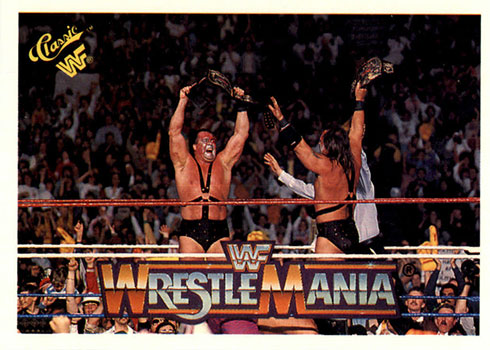 1990 wwf wrestlemania