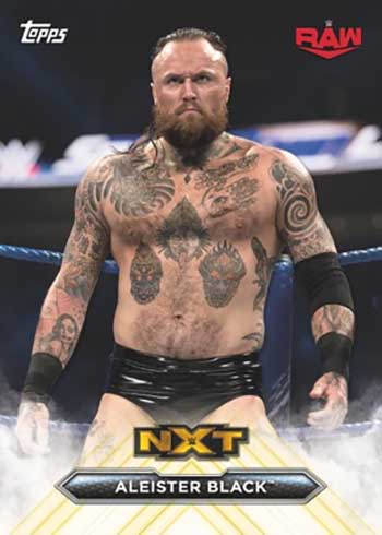 2020 Topps WWE NXT Roster Card
