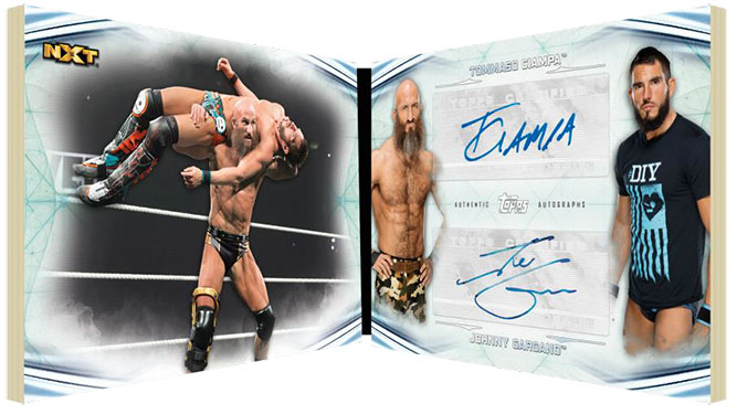 Carte de match incontesté de la WWE 2020 Topps