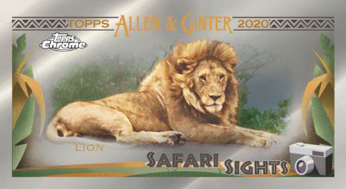 2020 Topps Allen & Ginter Chrome Baseball Safari Sights