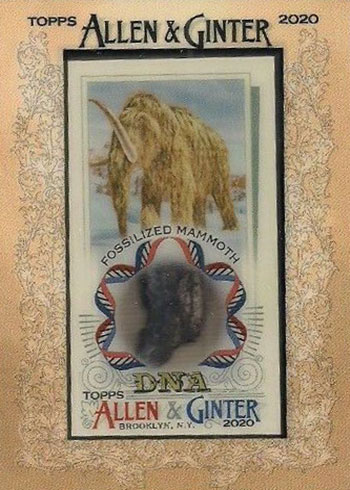  2020 Allen and Ginter #325 Mark Grace Arizona Diamondbacks SP  Baseball Card : Collectibles & Fine Art