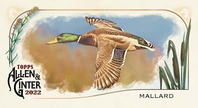 2022 Topps Allen & Ginter Baseball Ducks Mallard