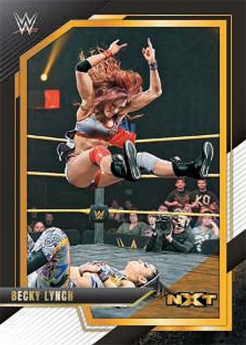 2022 Panini WWE NXT Checklist, Hobby Box Info, Release Date